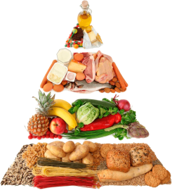 potravinová pyramida